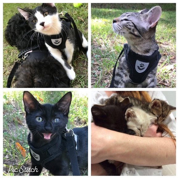 Mickey Mouse scarecrow, battery operated. Vintage like new condition - Picture 12 of 17